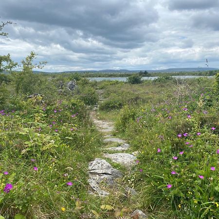 Вілла Luxury Glamping Dome With Views Of The Burren Boston Екстер'єр фото