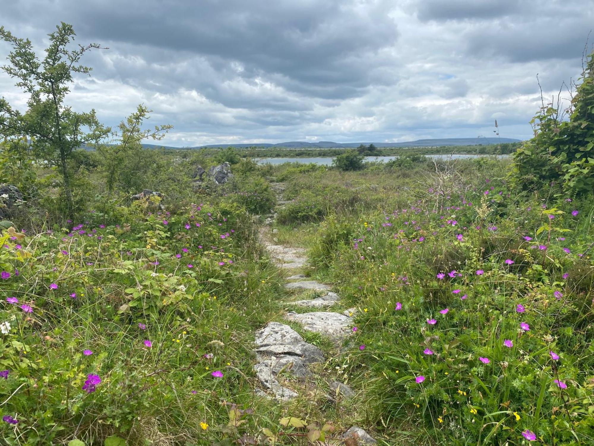 Вілла Luxury Glamping Dome With Views Of The Burren Boston Екстер'єр фото